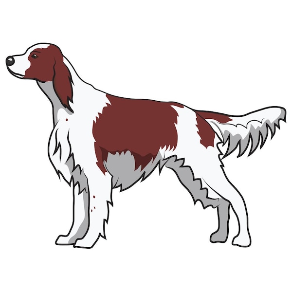 Signmission Irish Red And White Setter Dog Decal, Dog Lover Decor Vinyl Sticker D-12-Irish Red And White Setter - main